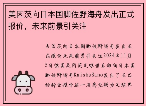 美因茨向日本国脚佐野海舟发出正式报价，未来前景引关注